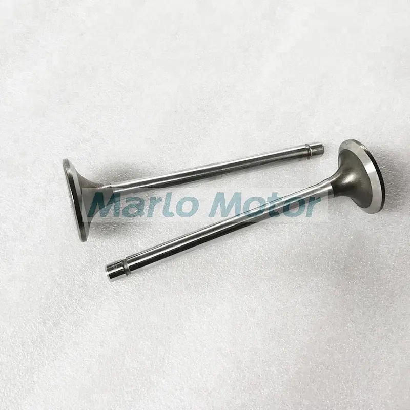 Genuine Diesel Engine Valve for 4 Valve Engine