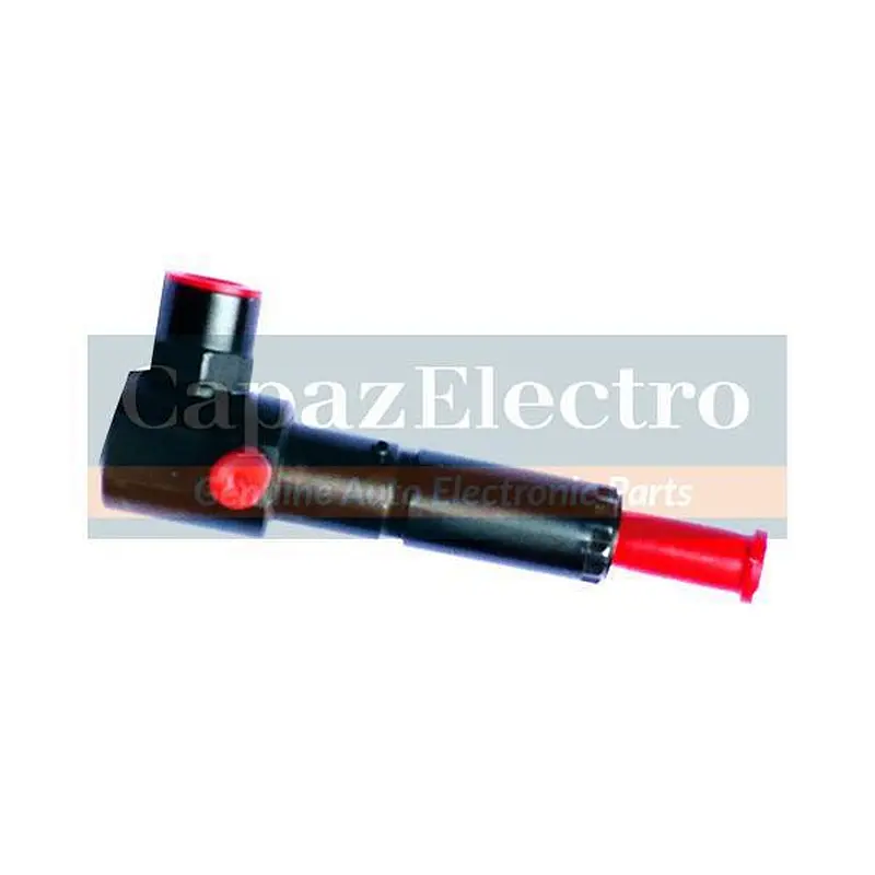 P series Fuel Injectors PB82P930L DSLA150PN930 PB82P931L DSLA150PN931 PB82P925L DSLA150PN925 PB82P926L DSLA150PN926 PB82P360L DS