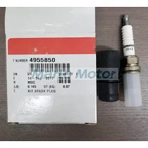 6CT ISC QSC8.3 natural Gas engine spare parts natural gas sparking plug 4937472 4955850 2881797 2882116 4955851 4089869 4089629