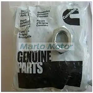 Cummins Diesel Engine Spare Parts Fan Hub Parts Lock Nut 3202206