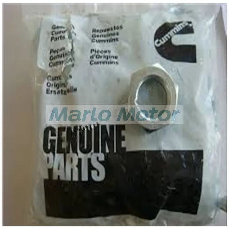 Cummins Diesel Engine Spare Parts Fan Hub Parts Lock Nut 3202206