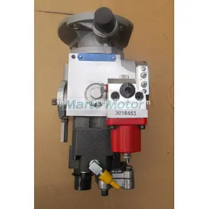 Cummins Original KTA19 Fuel Pump 3077024