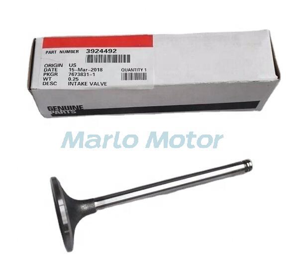 6C 6CTA 6CT 6CT8.3 diesel engine parts exhaust valve 3921444 intake valve 3924492