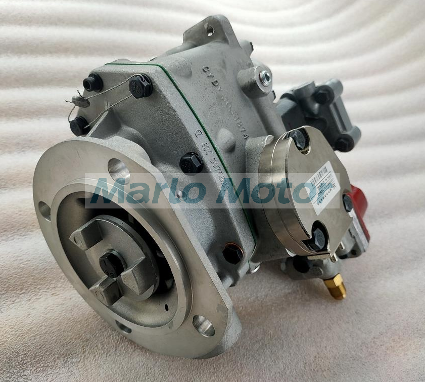 Hot Sale Cummins CCEC NT855 factory price Fuel Pump 3070123