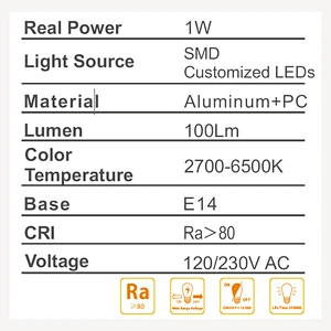 RD-T22-GS-1W