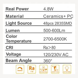 RD-R7S-CG-6W-B-20