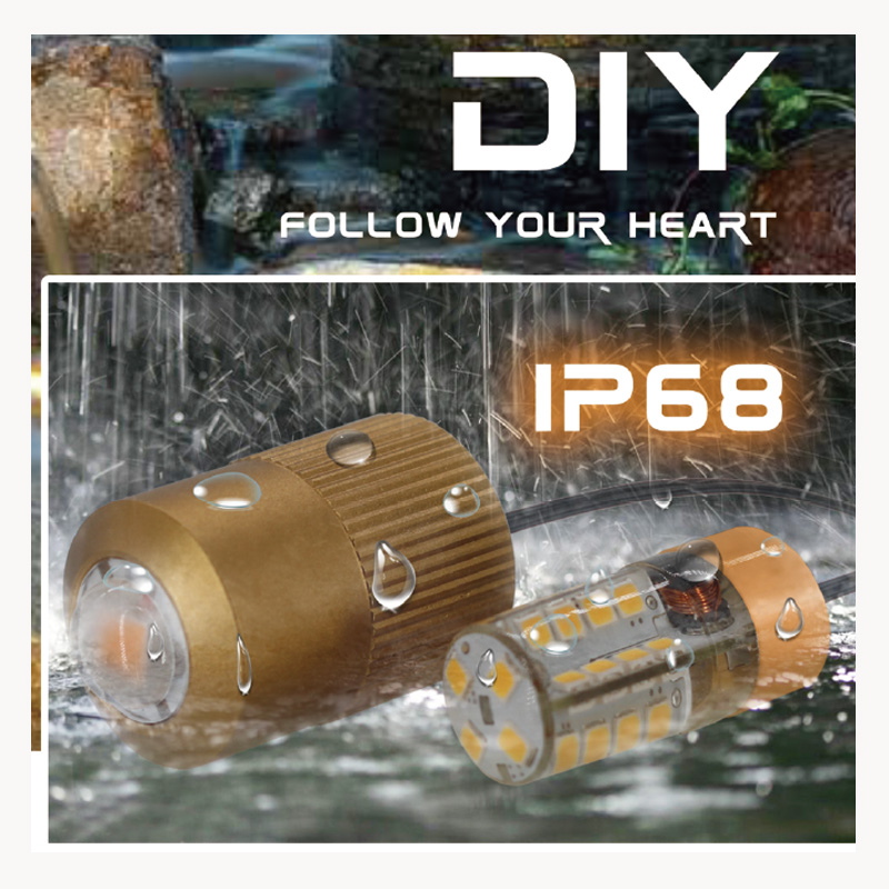 LED DIY module bulb