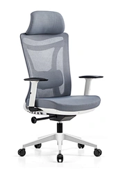 Mesh chair