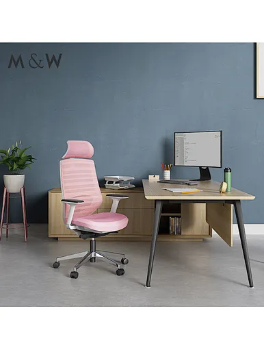 topplus funiture office painting desk