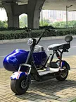2021 Best Electric Scooter 60V 1500W tricycle electric tricycle,tricycle electric With 60V 12Ah/20Ah Lead Acid