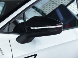 2022 Long Range Lite PRO Rearview Mirrors