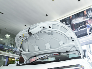 2022 Long Range Lite PRO Edition Engine Compartment Soundproof Cotton