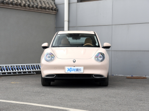 2022 400km standard battery life distinguished ternary lithium is in front 2022 400km standard battery life distinguished ternary lithium is in front