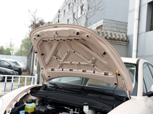 2022 400km standard battery life distinguished ternary lithium engine compartment soundproof cotton 2022 400km standard battery life distinguished ternary lithium engine compartment soundproof cotton