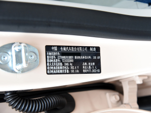 2022 400km standard battery life distinguished ternary lithium 2022 400km standard battery life distinguished ternary lithium others