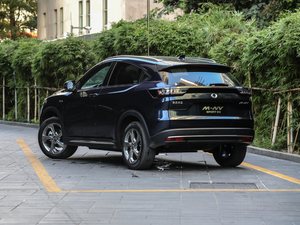 2021 Shangyi Edition details and appearance