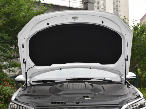 2021 400KM luxury other
