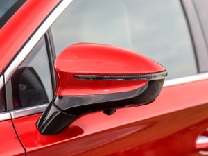 2022 Basic Mirrors