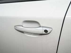 2020 3D Premium Edition Master Driving Door Handle 2020 3D Premium Edition Master Driving Door Handle