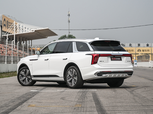 2021 510km flag collar version four-seat left rear 45 degrees
