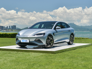 2022 model 550km standard battery life rear drive version noble model left front 45 degrees