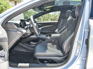 2022 model 550km standard battery life rear drive version distinguished front row space
