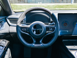 2022 model 550km standard battery life rear drive version premium steering wheel