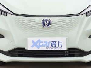 2022款赏心版 多彩款 磷酸铁锂 中网
