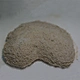 Super Powder Desiccant