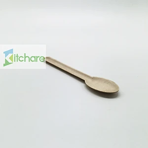 Sugarcane Fiber Spoon