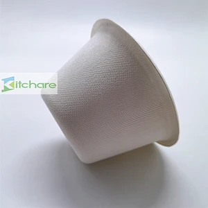 Sugarcane Fiber Bowl