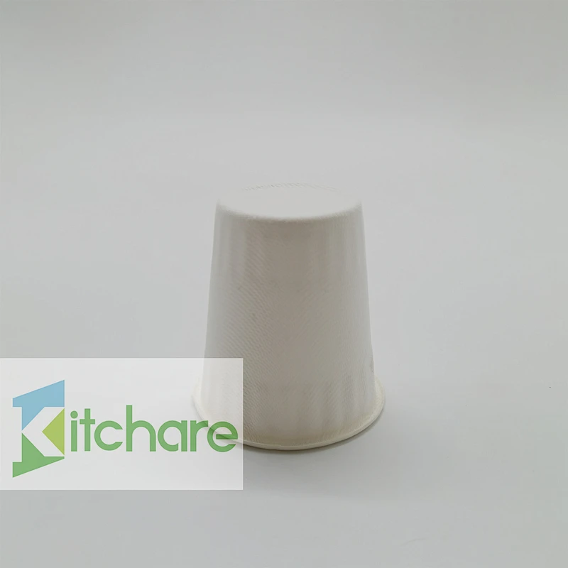 Sugarcane Fiber Cup