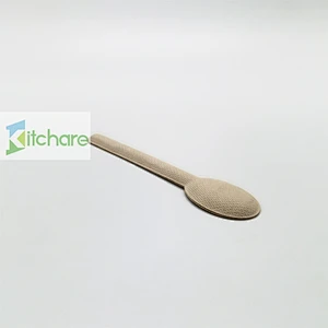 Sugarcane Fiber Spoon