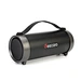 bluetooth outdoor speaker S33D