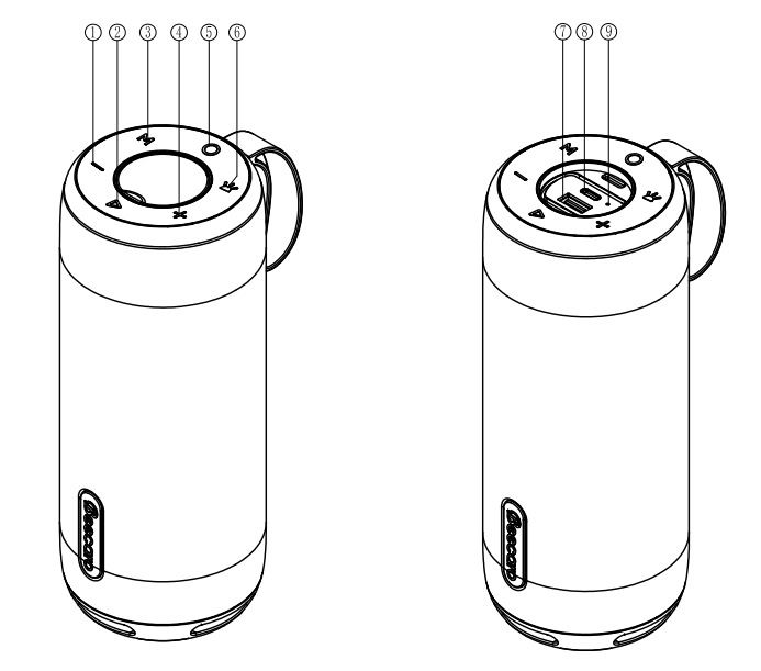 Wireless Travel Sound System