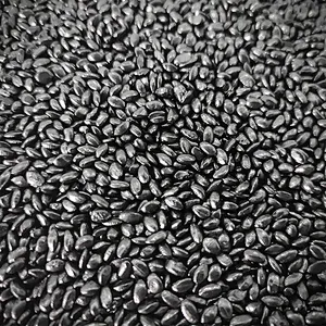 Super Black Masterbatch