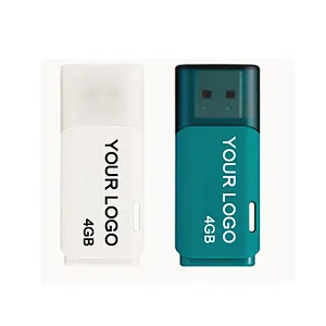 Light Blue Plastic Housing Customized Logo USB 2.0 3.0 Pen Drive