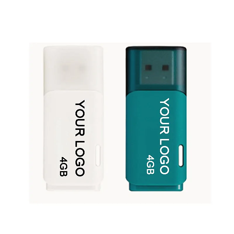 Light Blue Plastic Housing Customized Logo USB 2.0 3.0 Pen Drive