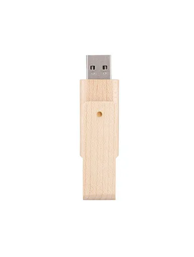 memory stick
