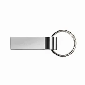 Key Chain Metal Silvery Hanging USB 2.0 3.0 Pen Drive