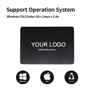 120GB Hard Drive High Speed 2.5 Inch SATA III Hard Disk 400/500 Mbps SSD