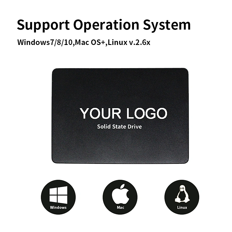 120GB Hard Drive High Speed 2.5 Inch SATA III Hard Disk 400/500 Mbps SSD