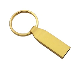 Enterprise Propaganda Metal Key Chain USB 2.0 Pen Drive USB Flash Drive USB Flash Disk USB Disk USB Drive USB Driver