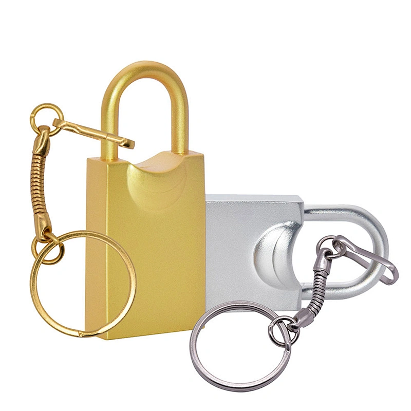Wholesale Metal Lock Shape High Speed Customized Logo Mini USB Flash Drive USB Flash Disk USB Drive USB Driver USB Disk USB Stick