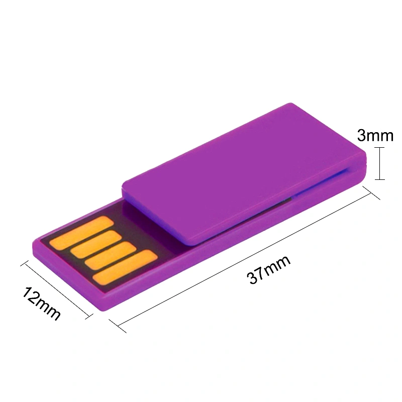Customized Logo Plastic Mini Portable USB Flash Drive USB Flash Disk USB Drive USB Disk For Gift