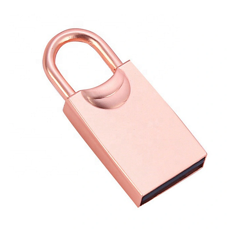 Wholesale Metal Lock Shape High Speed Customized Logo Mini USB Flash Drive USB Flash Disk USB Drive USB Driver USB Disk USB Stick