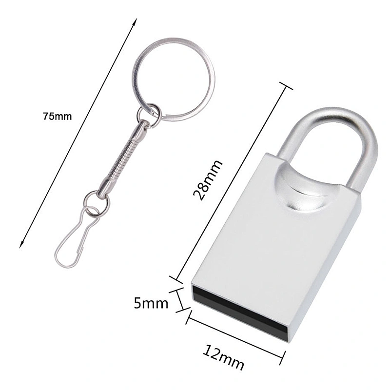 Wholesale Metal Lock Shape High Speed Customized Logo Mini USB Flash Drive USB Flash Disk USB Drive USB Driver USB Disk USB Stick