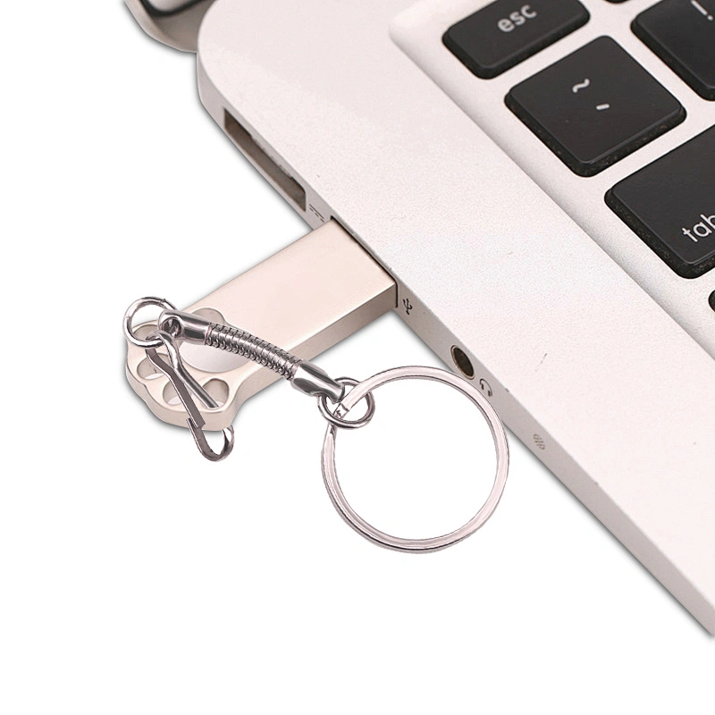Cat Claw Hole Design Metal Bulk Cheap Gift USB Flash Drive USB Flash Disk USB Drive USB Driver USB Stick
