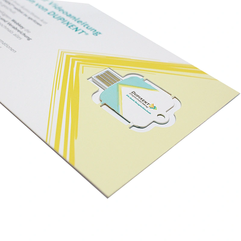 Business Advertising Promotion Gift Paper USB Stick Cmyk Printing USB Flash Drive/Flash Memory/USB Disk