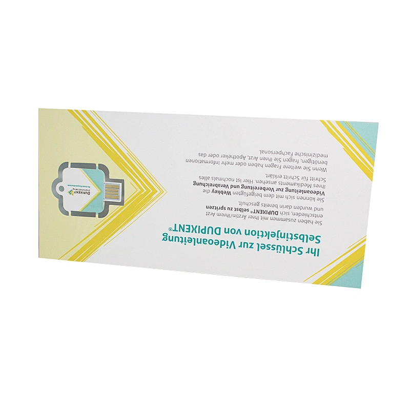 Business Advertising Promotion Gift Paper USB Stick Cmyk Printing USB Flash Drive/Flash Memory/USB Disk
